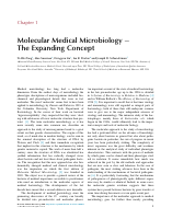 Molecular Medical Microbiology.pdf